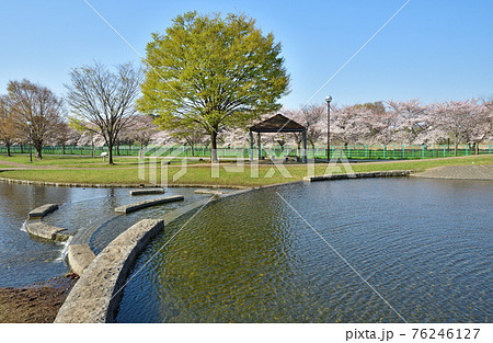 見沼田圃：七里総合公園 76246127