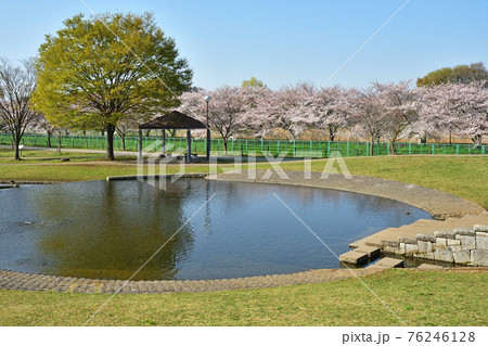 見沼田圃：七里総合公園 76246128