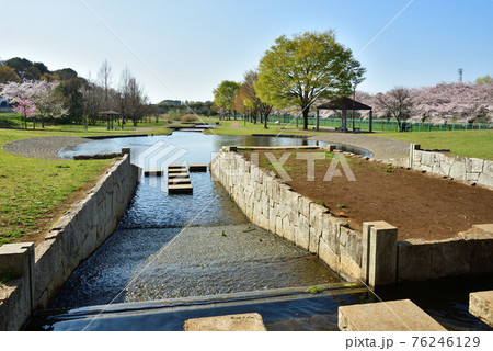 見沼田圃：七里総合公園 76246129