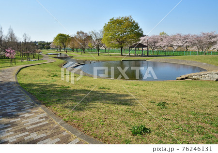 見沼田圃：七里総合公園 76246131