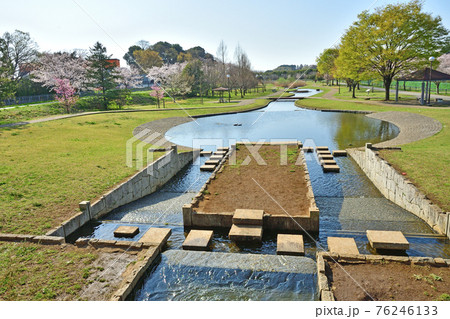 見沼田圃：七里総合公園 76246133