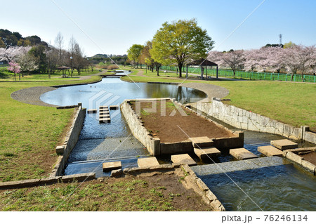 見沼田圃：七里総合公園 76246134