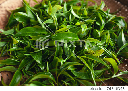 Green tea leaves in a wooden tray 76246363