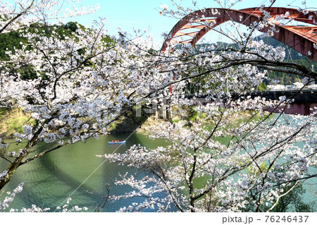 佐田の桜　(和歌山県古座川町) 76246437