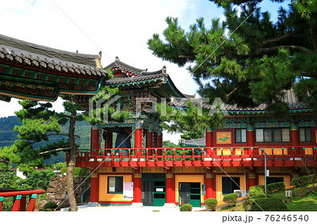 韓屋 種 桜 76246540