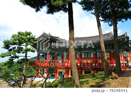 韓屋 桜 春 76246541