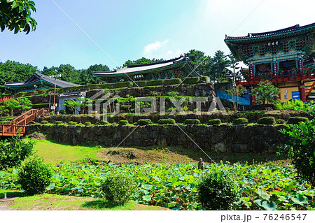 韓屋 桜 春 76246547