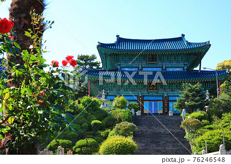 韓屋 桜 春 76246548