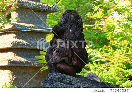 韓屋 桜 石像 76246587