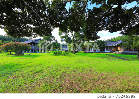 韓屋 桜 春 76246598