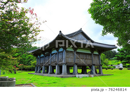 韓屋 種 桜 76246814