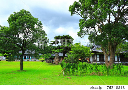 韓屋 桜 春 76246818