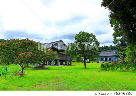 韓屋 桜 春 76246830