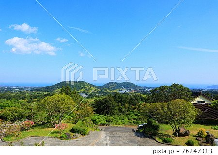 韓屋 桜 春 76247013