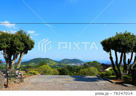 韓屋 種 桜 76247014