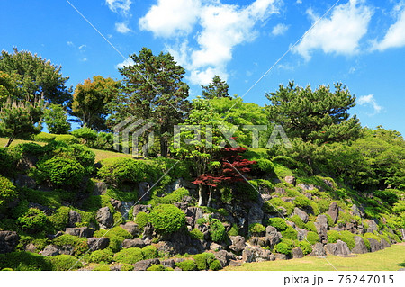 韓屋 桜 春 76247015