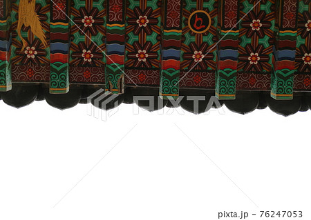 韓屋 種 桜 76247053