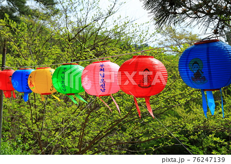 韓屋 提灯 種 76247139