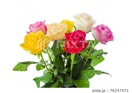 Bouquet of flowers roses Bouquet of flowers roses 76247471