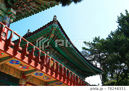 韓屋 種 桜 76248351