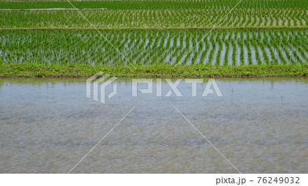 田植えの風景・日本の6月のイメージ・日本の農業のイメージ 田植えの風景・日本の6月のイメージ・日本の農業のイメージ 76249032