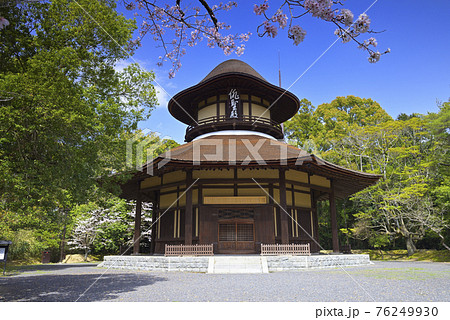 伊賀上野城 春の俳聖殿(三重県伊賀市) 伊賀上野城 春の俳聖殿(三重県伊賀市) 76249930