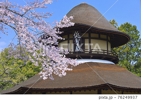 伊賀上野城　春の俳聖殿（三重県伊賀市） 76249937