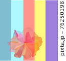 Digital Illustration of a delicate flower against a rainbow colored background to show concept of Women's Day and Women's Month Celebration including the LGBTQ community 76250198