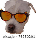 Digital illustration of a dog wearing cat sunglasses showing concept of fun, summer and fashion 76250201