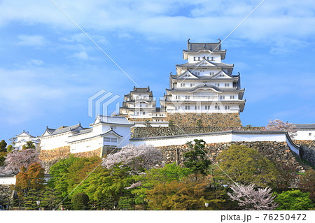 【兵庫県】晴天下の姫路城と満開の桜 76250472