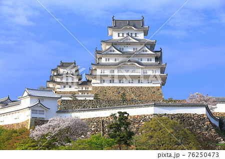 【兵庫県】晴天下の姫路城と満開の桜 76250473