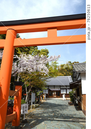 玉津島神社　大鳥居と拝殿　(和歌山市) 76250613