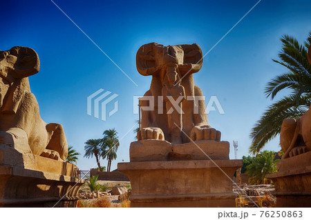 Great Hypostyle Hall and clouds at the Temples of Karnak Great Hypostyle Hall and clouds at the Temples of Karnak 76250863
