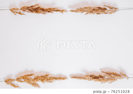 Dry grass on a white background. Greeting card concept, place for text. View from above 76251028
