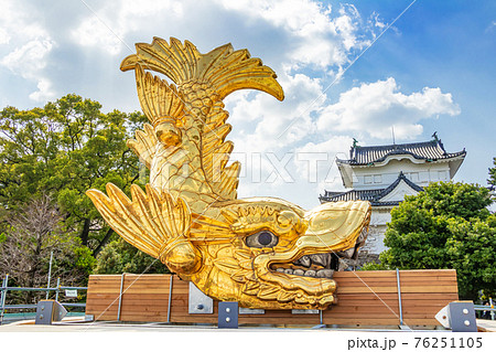 名古屋城、地上に降臨した雄の金鯱〈愛知県名古屋市〉 名古屋城、地上に降臨した雄の金鯱〈愛知県名古屋市〉 76251105