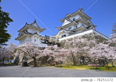 春の伊賀上野城（三重県伊賀市） 76251172