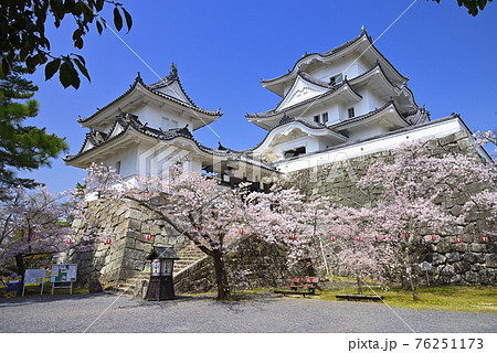 春の伊賀上野城（三重県伊賀市） 76251173