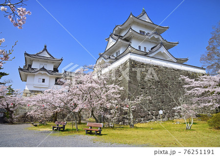 春の伊賀上野城（三重県伊賀市） 76251191