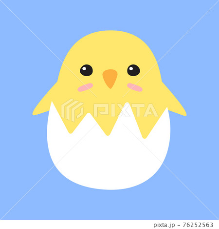 Vector flat cartoon doodle chick in egg shell 76252563