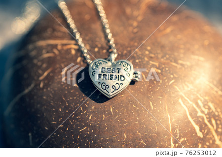 Pendant Best Friend heart necklace shoot outside in a summer day closeup. Selective Focus 76253012