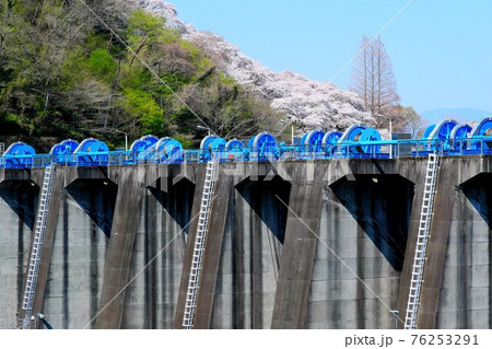 春の津久井湖城山ダム 76253291