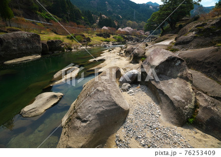 桜満開の三重県白山町リバーパーク真見（水辺公園）の奇岩 76253409