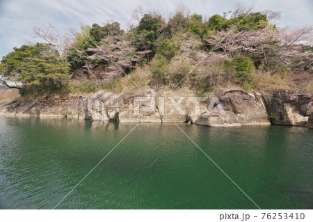 桜満開の三重県白山町リバーパーク真見（水辺公園）の奇岩 76253410