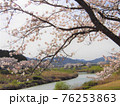 満開の桜と川の風景 76253863