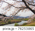 満開の桜と川の風景 76253865