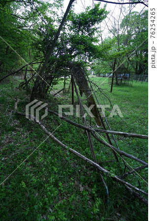 廃墟　山梨県　江草小学校　廃校　教室　校庭　遊具 76254265