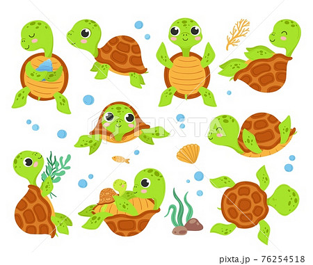 Cartoon turtles. Animal tortoise, smiling... - Stock Illustration  [76254518] - PIXTA