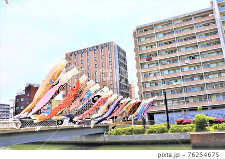 南海本線堺駅・堺駅南歩道橋の鯉のぼり 76254675