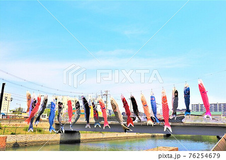 南海本線堺駅・堺駅南歩道橋の鯉のぼり 76254679