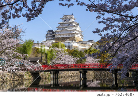 [兵庫県]春の姫路城天守閣と桜 76254687